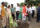 मुख्यमंत्री चौहान ने रोपे पीपल, कदम्ब और मौलके पौधे