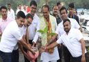 मुख्यमंत्री चौहान ने पीपल, गुलमोहर और कदंब के पौधे रोपे