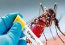 जमशेदपुर में MLA की पत्नी समेत 27 मिले डेंगू पॉजिटिव, 87 सैंपलों की जांच
