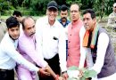 मुख्यमंत्री चौहान ने बरगद, कदम्ब और जामुन के पौधे रोपे