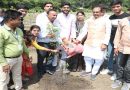 मुख्यमंत्री चौहान के साथ जन-प्रतिनिधियों ने लगाए पौधे
