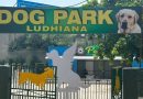 पंजाब के लुधियाना में कुत्तों के लिए उत्तर भारत का पहला पार्क खुला